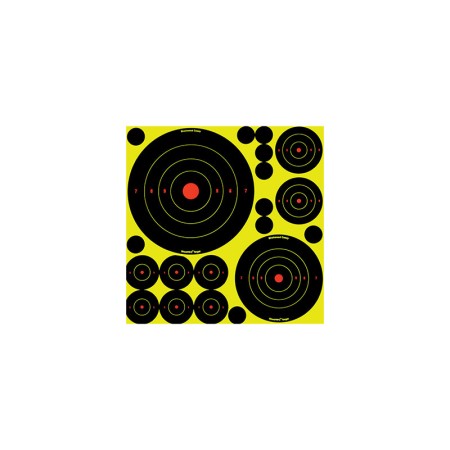 BULL'S EYE LOT DE 5 CIBLES ET 10 GOMETTES