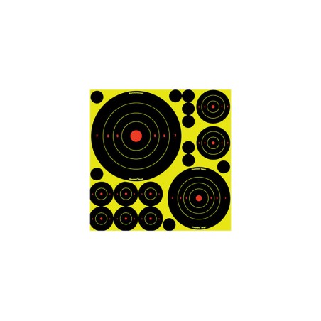 BULL'S EYE LOT DE 5 CIBLES ET 10 GOMETTES