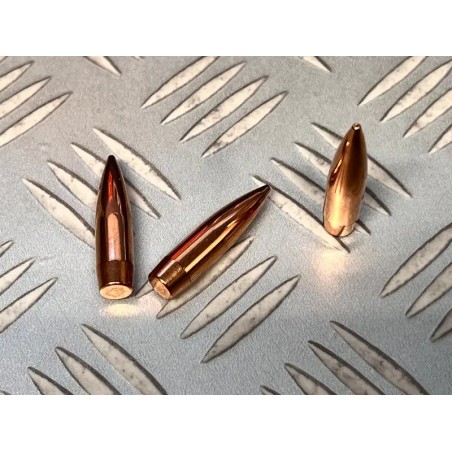 OGIVES LAPUA SCENAR L 175 GR PAR 1000