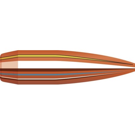 OGIVES HORNADY 30 308 168GR BTHP MATCH PAR 100