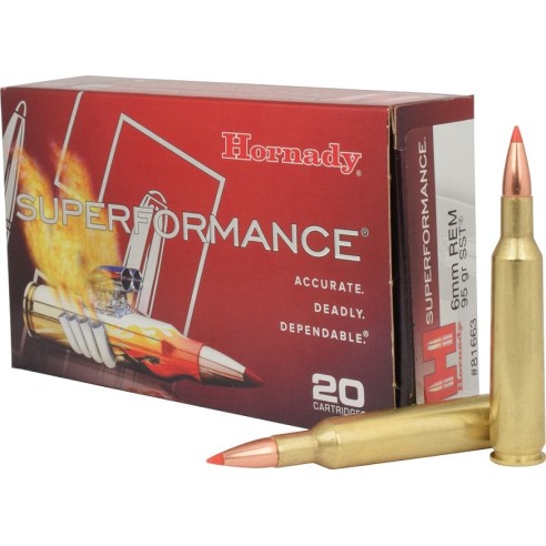 MUNITIONS HORNADY  6 REM 95 GR SST