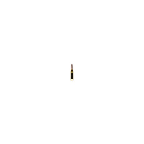 WINCHESTER SOFT POINT CAL.243 WIN