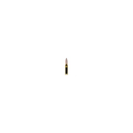 WINCHESTER SOFT POINT CAL.243 WIN
