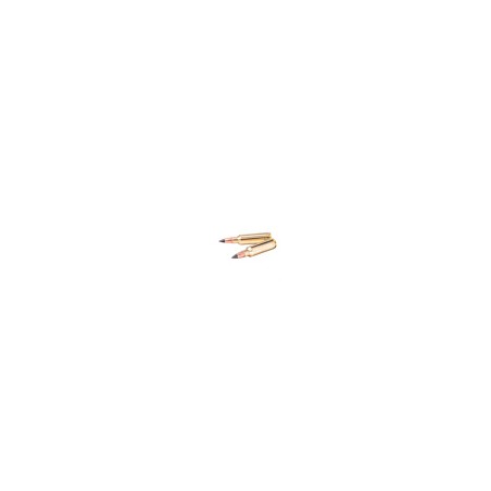 WINCHESTER EXTREME POINT CAL.300 WIN MAG 180 GR