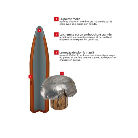 WINCHESTER CAL 243W 100 GR Power Point BOITE DE 20