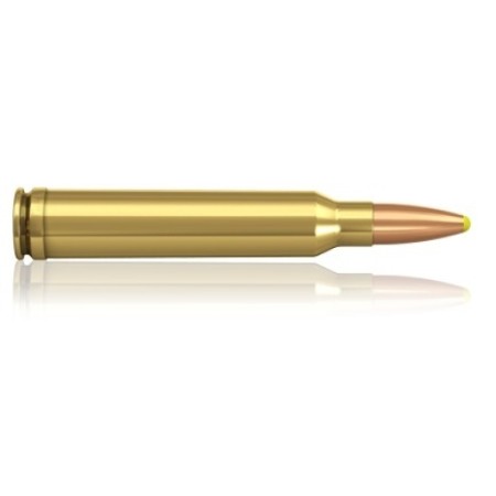 NORMA PPDC CAL. .300 WIN MAGNUM 180GR 117 G 2
