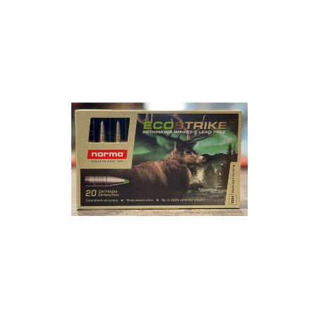 NORMA CAL.300 WIN MAG ECOSTRIKE 165GR 10.7G