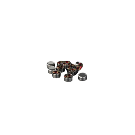 RWS AMORCES BOXER SINOXID 4033 small rifle par 1000