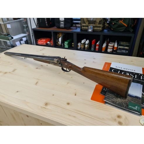 SARRIUGARTE  JUXTAPOSE A CHIEN  12/70