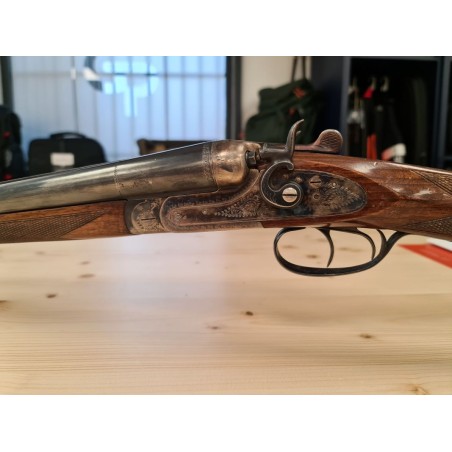 SARRIUGARTE  JUXTAPOSE A CHIEN  12/70