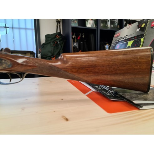 SARRIUGARTE  JUXTAPOSE A CHIEN  12/70