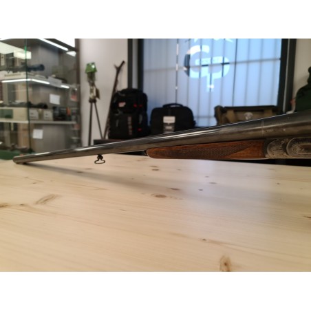 SARRIUGARTE  JUXTAPOSE A CHIEN  12/70