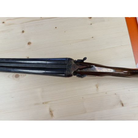 SARRIUGARTE  JUXTAPOSE A CHIEN  12/70