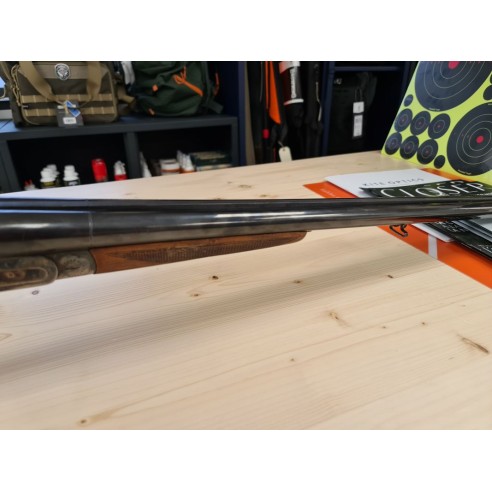 SARRIUGARTE  JUXTAPOSE A CHIEN  12/70