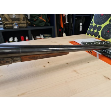 SARRIUGARTE  JUXTAPOSE A CHIEN  12/70