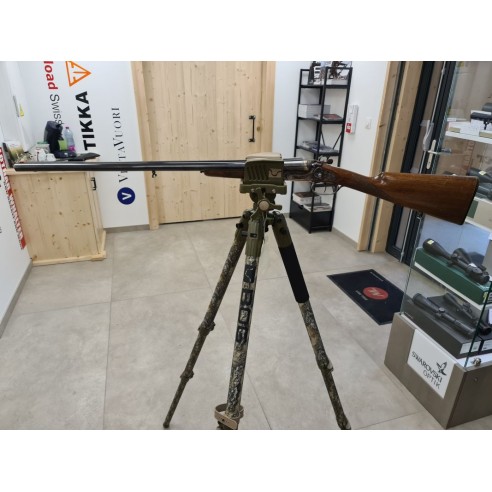 SARRIUGARTE  JUXTAPOSE A CHIEN  12/70