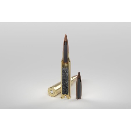SWISS P 338 LM TARGET 300GR/19.4G 2