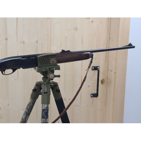 CARABINE REMINGTON 742