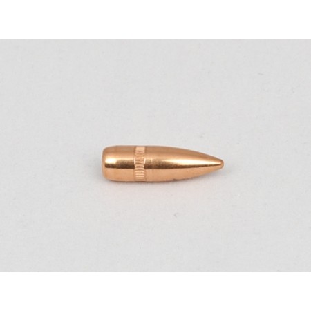 CAM PRO PROJECTILES FMJ 223 BT 55 GR DIAM 224  PAR 500