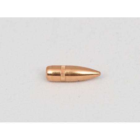 CAM PRO PROJECTILES FMJ 223 BT 55 GR DIAM 224  PAR 500
