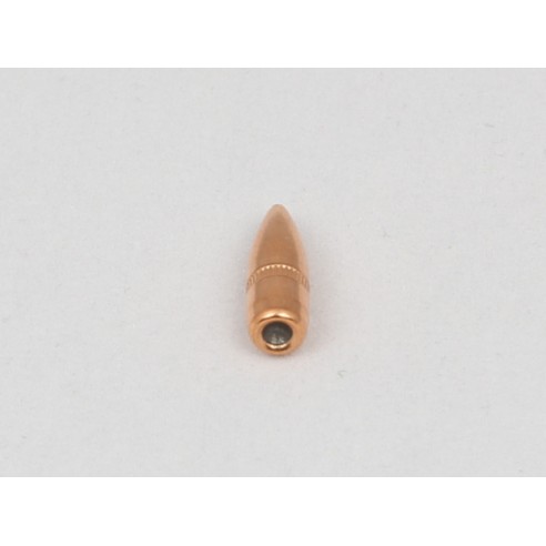 CAM PRO PROJECTILES FMJ 223 BT 55 GR DIAM 224...